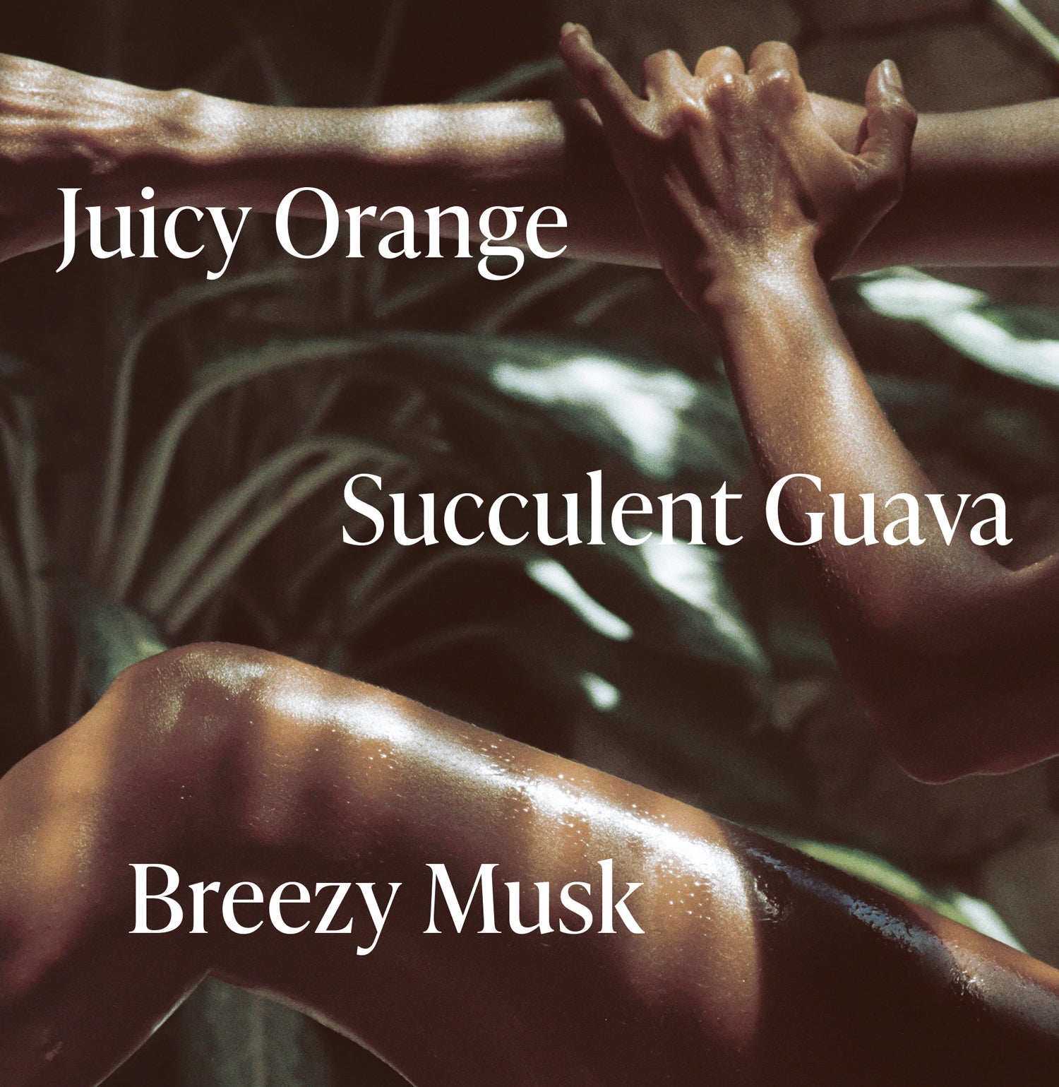 3-SLTR_PDP_BodyButter_ExoticPulp_Notes_3000x.jpg