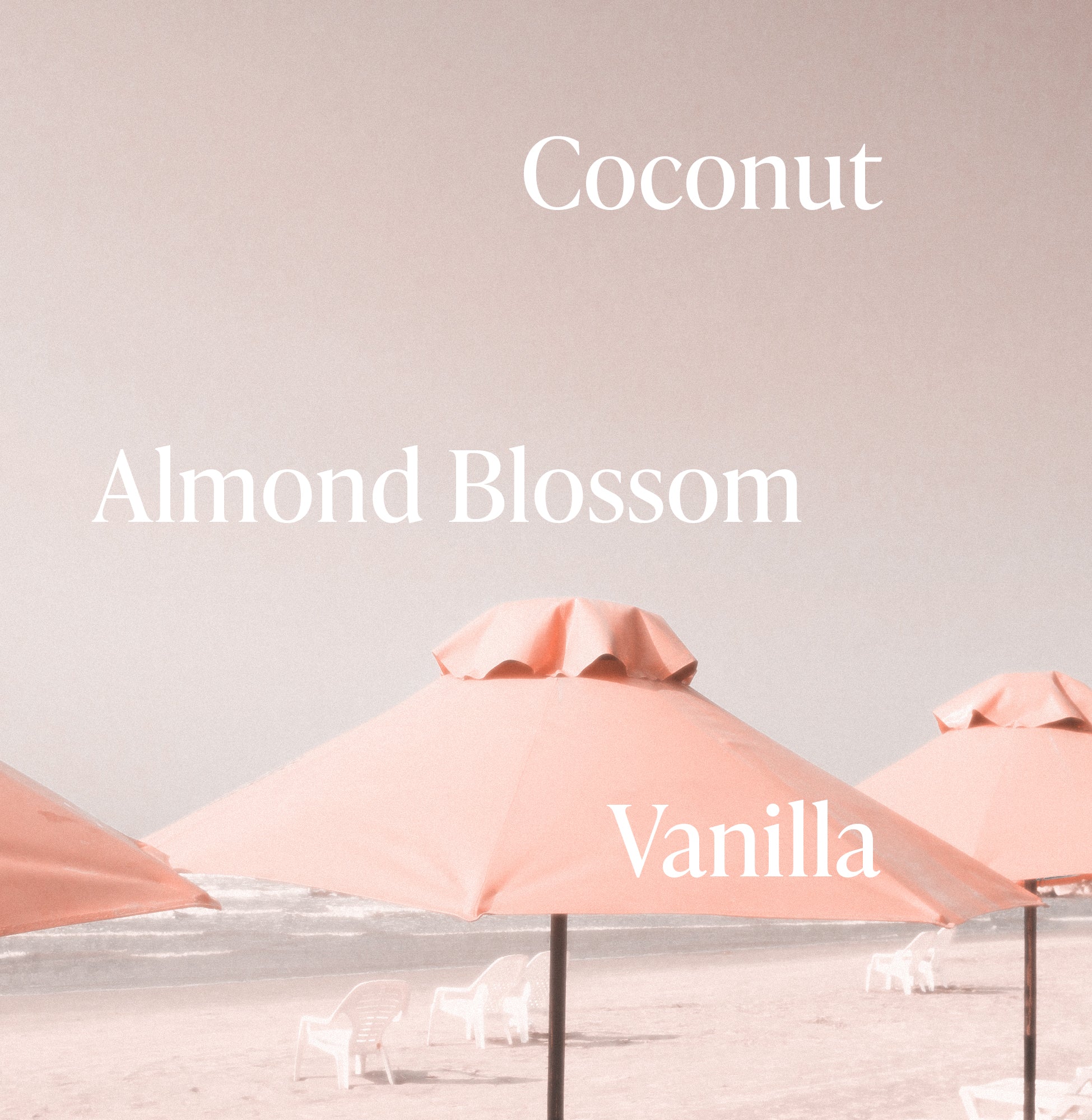 3-SLTR_PDP_BodyButter_PinkBeach_Notes_2_3000x.jpg