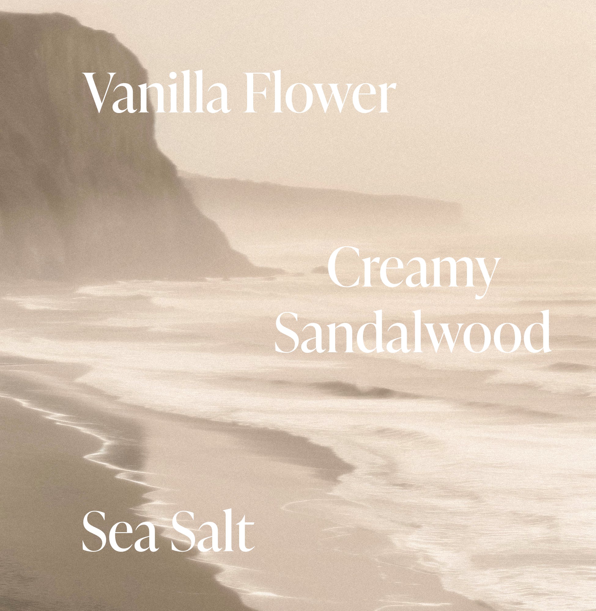 3-SLTR_PDP_BodyButter_SaltWaterVanilla_Notes_3_3000x.jpg