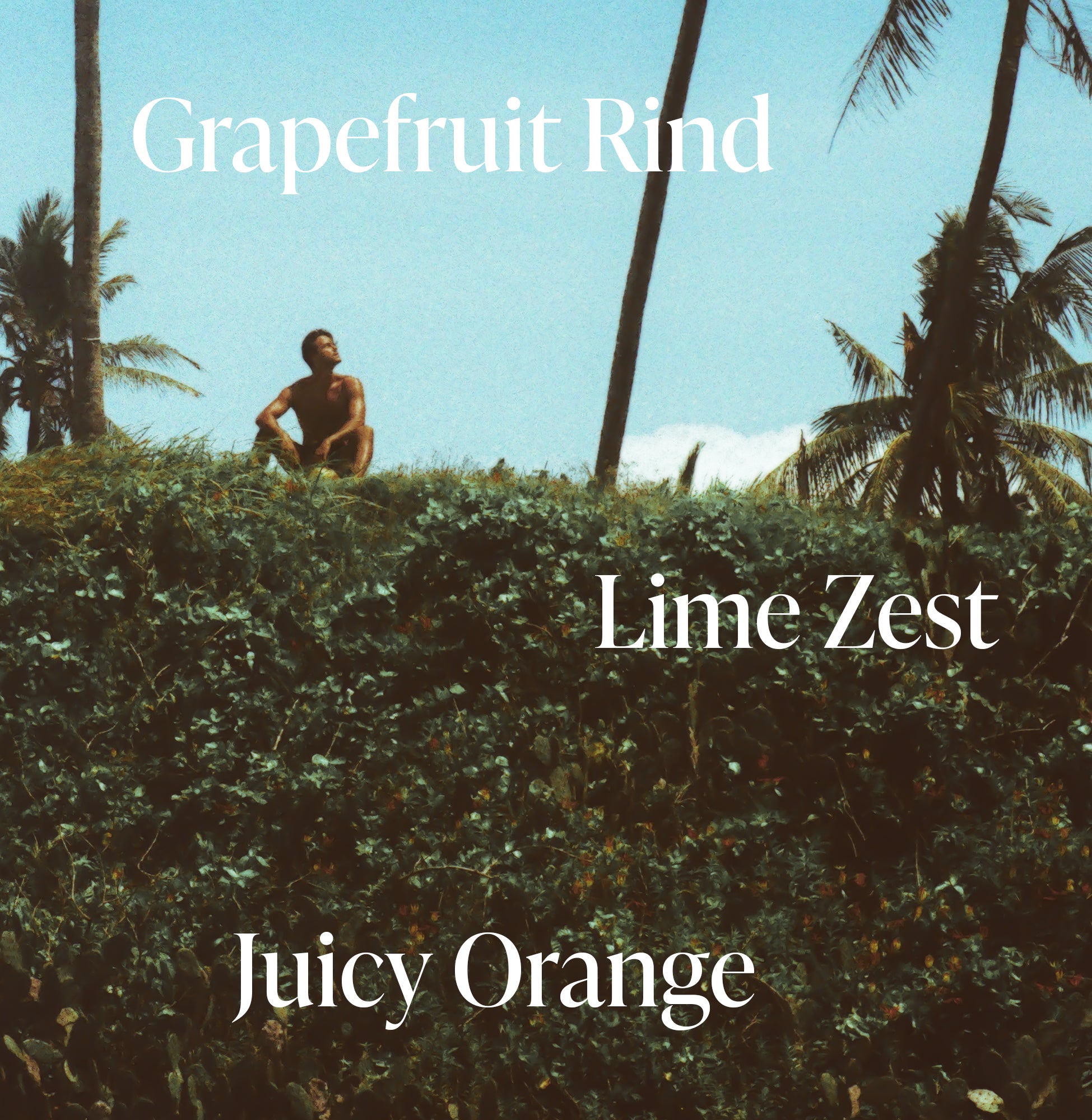 3-SLTR_PDP_BodyWash_GreenGrapefruit_Notes_3000x.jpg