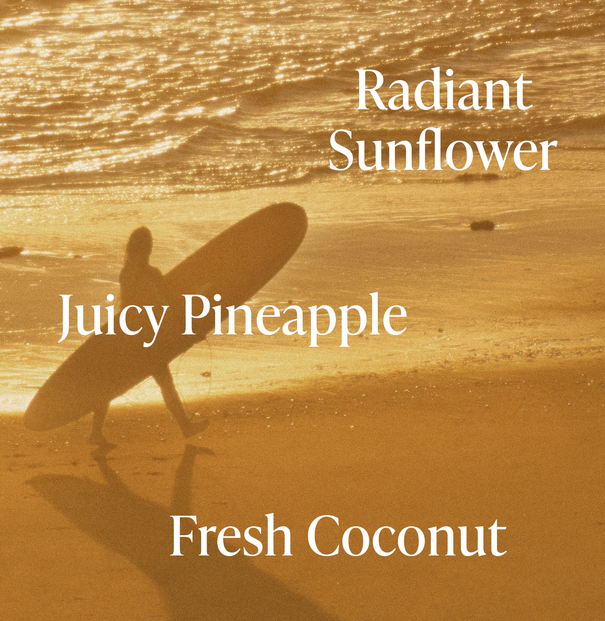 3-SLTR_PDP_FragranceNotes_GoldenHour_9dc85c95-2970-4575-acea-3736a344e577_3000x.jpg
