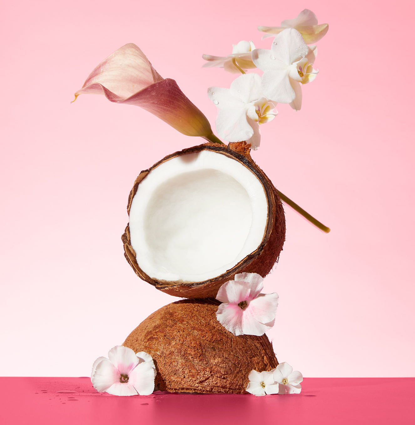 5-Pink-Beach_Body-Wash_Skin-Softening_Lifestyle-Ingredients_891ebcb5-c415-489d-8df0-719cb975500a_3000x.jpg