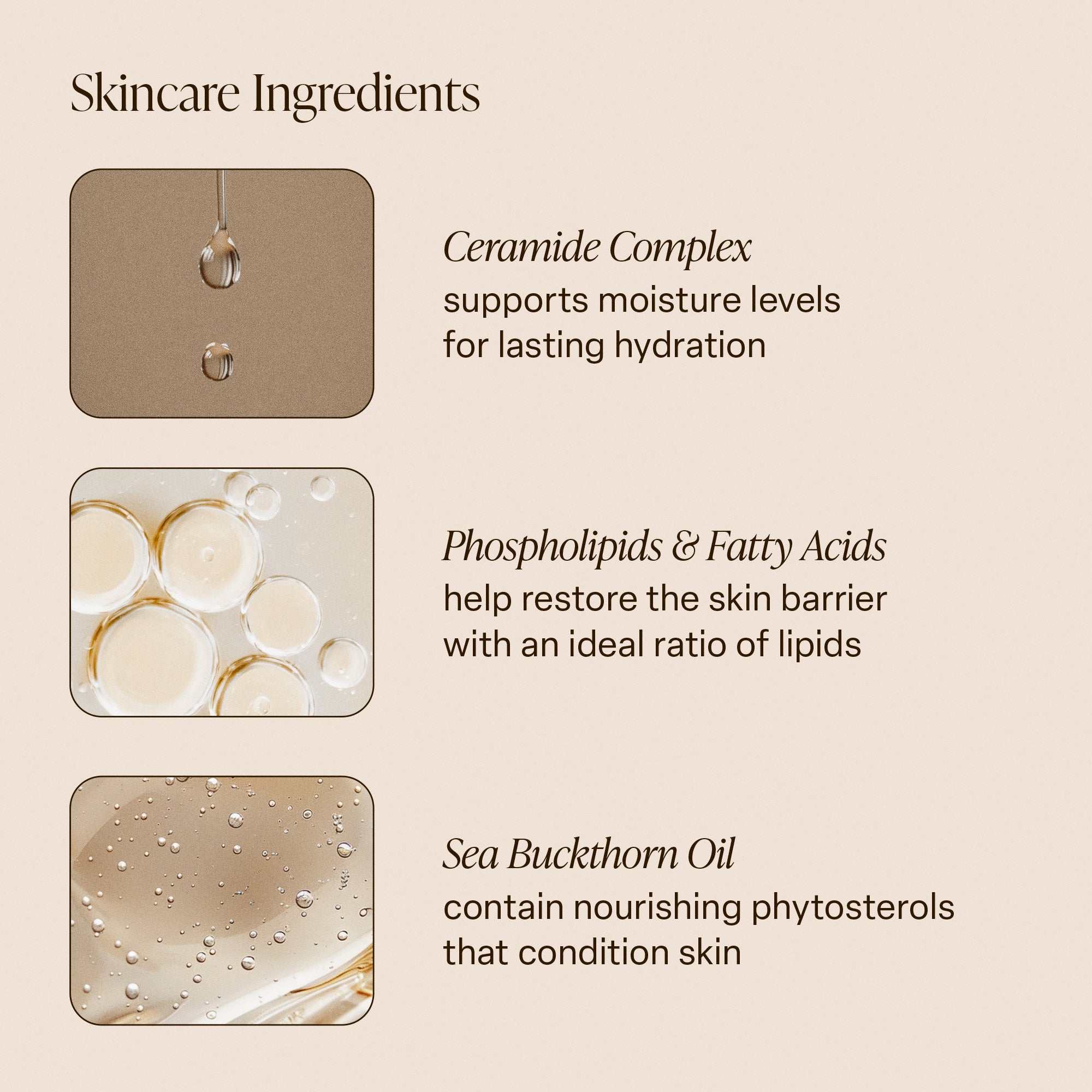 5-SLTR_PDP-KeyIngredients-BodyButter-v2_1_950839a1-63ac-430c-8822-38f4cb615dfb_3000x.jpg