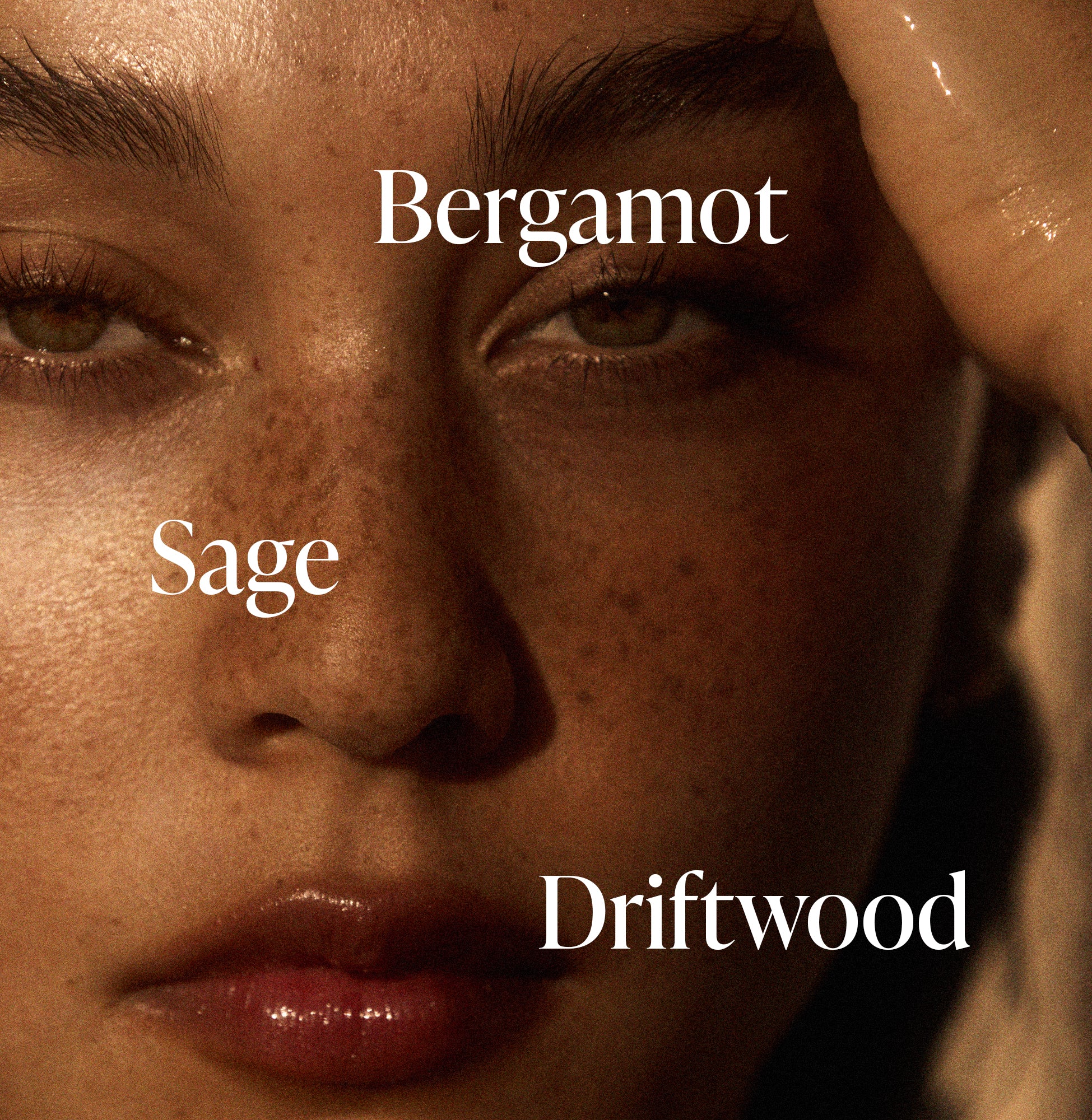 5-SLTR_PDP_FragranceNotes_Driftwood_09f1d700-9545-4933-8705-f7dd8d214d83_3000x.jpg