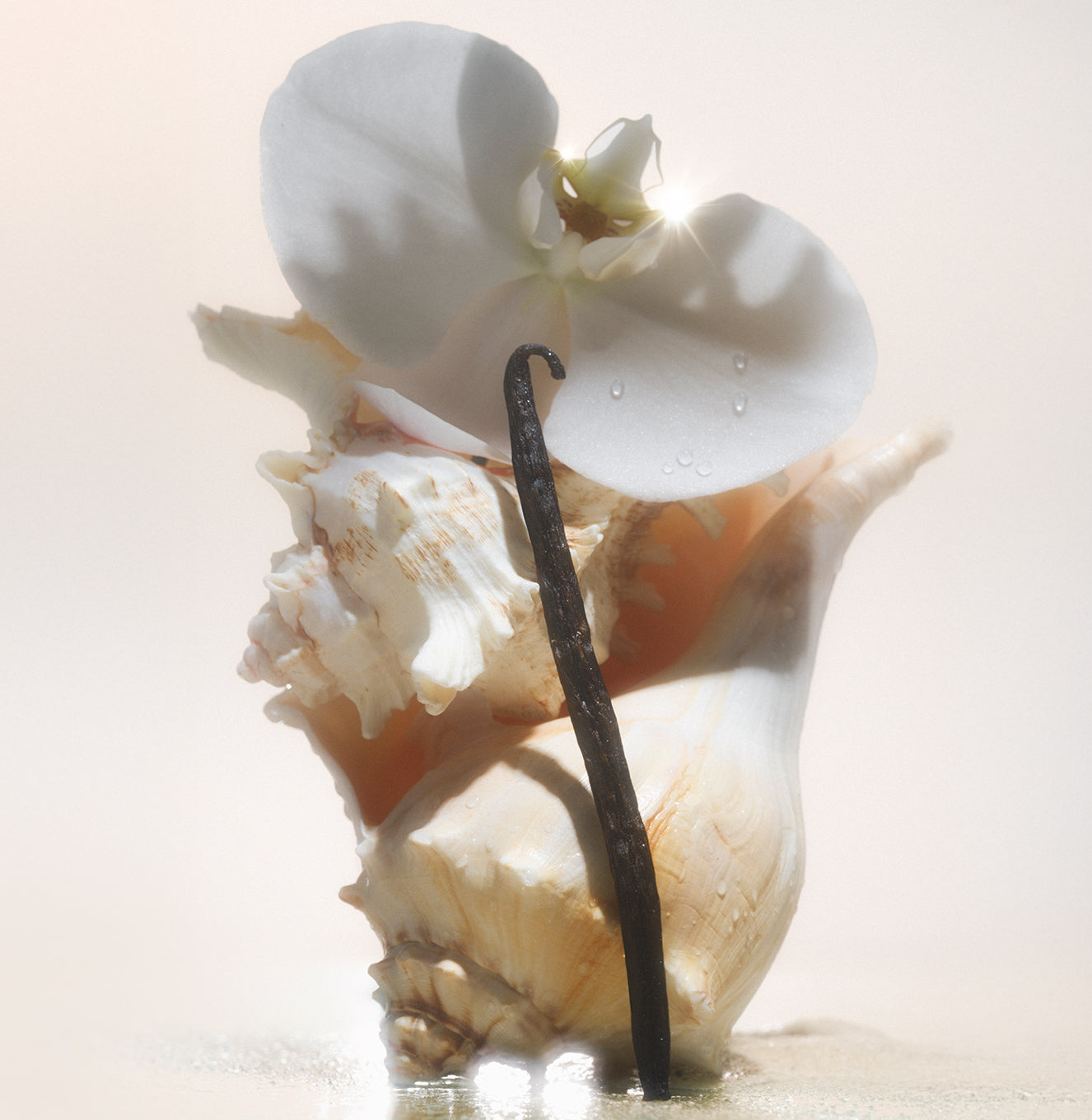 5-SLTR_PDP_SaltWaterVanilla_Botanicals_77037c46-886e-40ba-9223-da2a29abb3df_3000x.jpg
