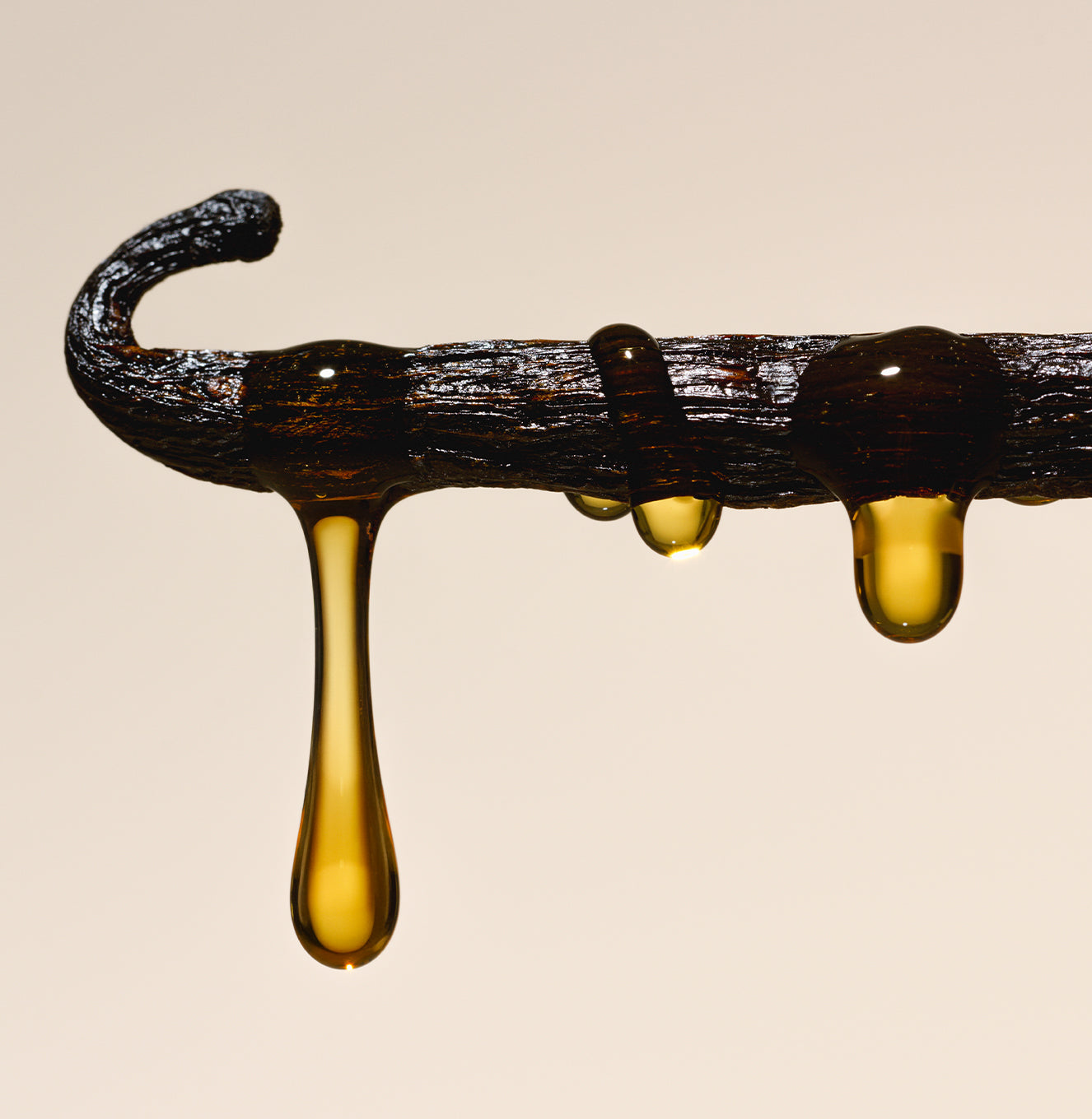 5-SLTR_PDP_SaltWaterVanilla_Botanicals_be0375f3-a3e9-48cb-971e-576e9873da57_3000x.jpg