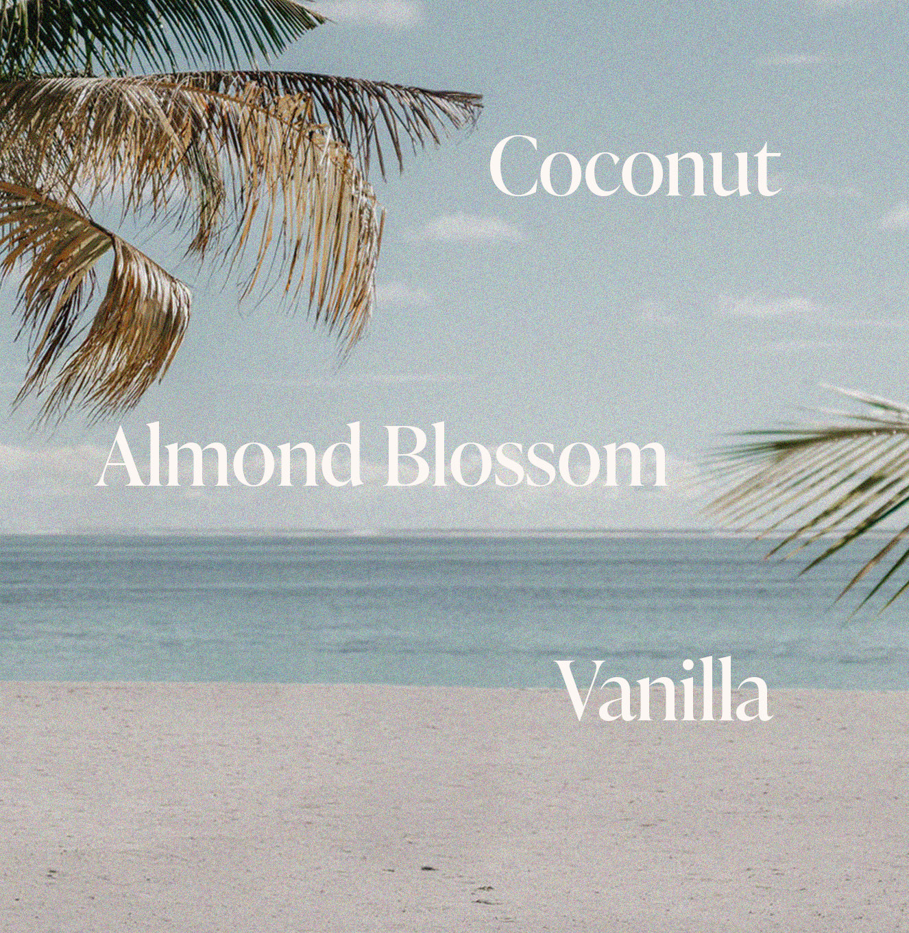 6-SLTR_PDP_Shimmer-BodyOil_PinkBeach_FragranceNotes_3000x.jpg