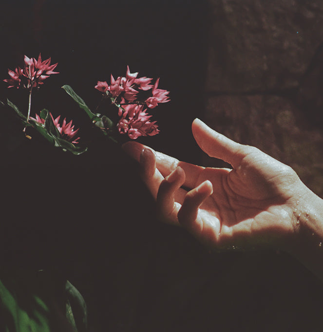 SantalBloomPDPHero4_3000x.jpg